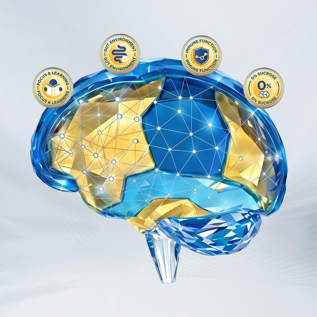 Brain