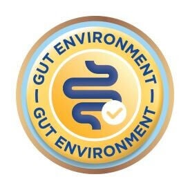 gut environment