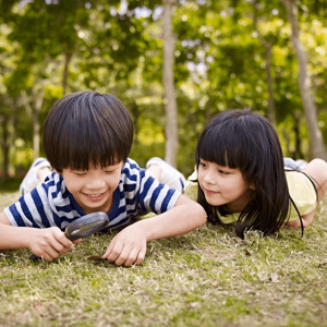 40507717_xl_converted