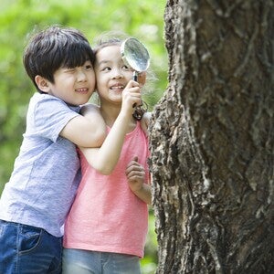 Photograph: two smiling children hugging and peeking from behind a tree in a green park