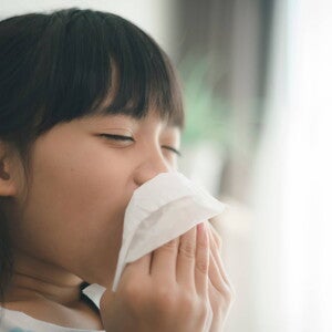 What causes your young one to develop allergies? What causes your young one to develop allergies