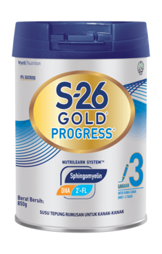 S-26 GOLD PROGRESS