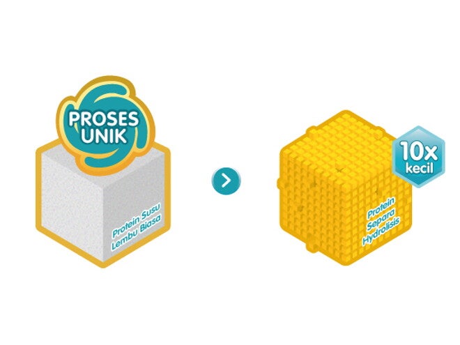 Learn the hard facts of Partially Hydrolysed Protein vs Regular Cow’s Milk Protein. Learn the hard facts of Partially Hydrolysed Protein vs Regular Cow’s Milk Protein.