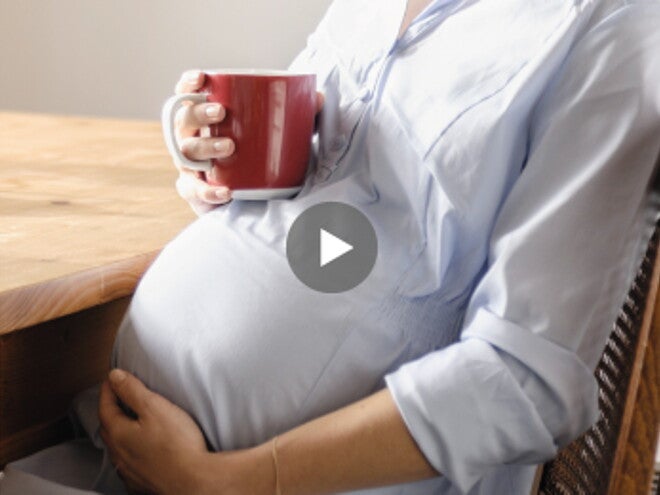 Discover the beautiful journey of pregnancy Discover the beautiful journey of pregnancy