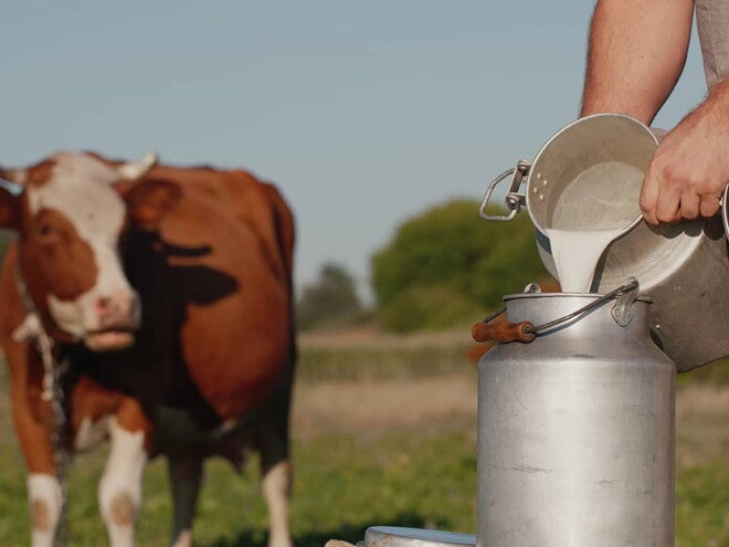 Milk protein allergy —what you need to know Milk protein allergy —what you need to know