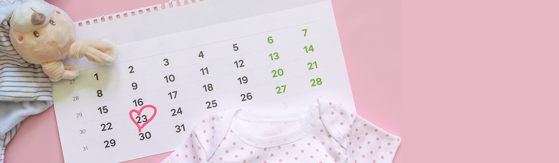 pregnancy weekly calendar pregnancy weekly calendar