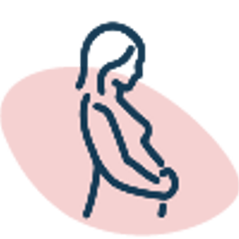 Pregnancy
